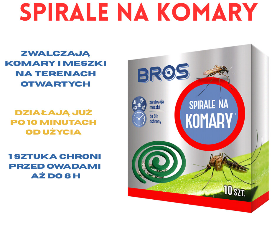 zdjęcie na stronie głównej
