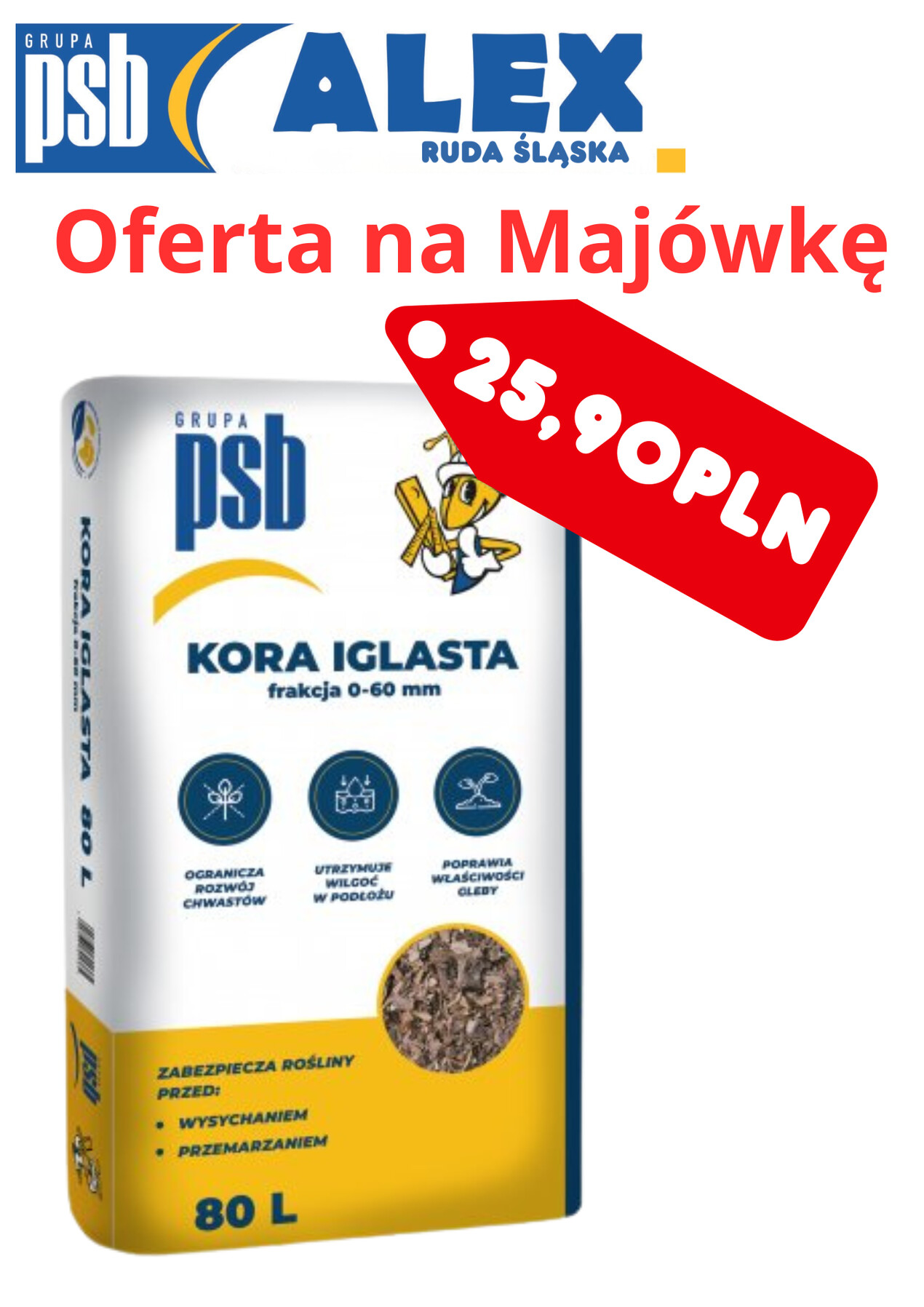 zdjęcie na stronie głównej