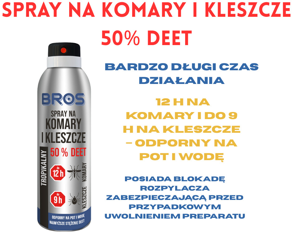 zdjęcie na stronie głównej