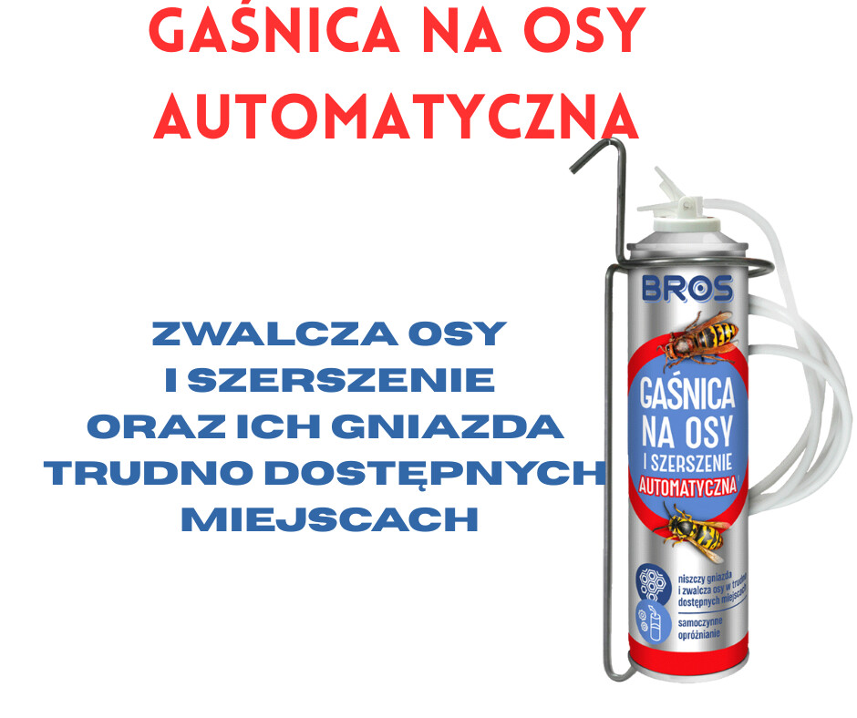zdjęcie na stronie głównej